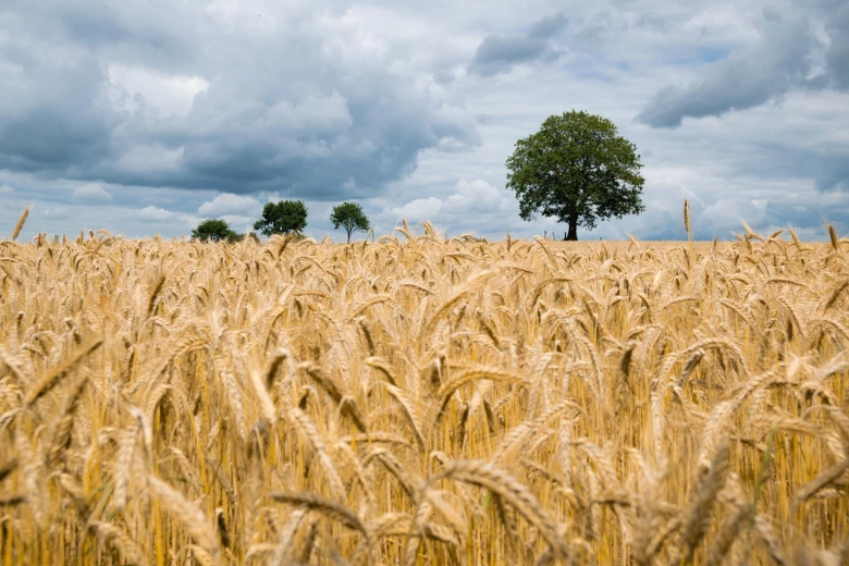 Agrochemie